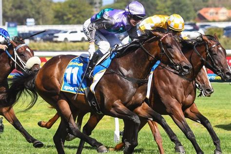 blue diamond stakes results|2024 Blue Diamond Stakes Results: Hayasugi Becomes Second .